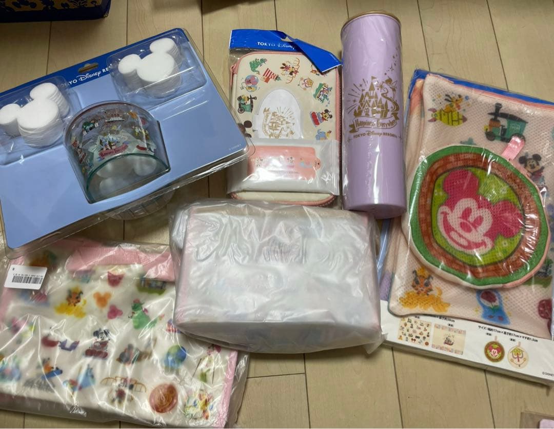 【購入前コメント必須】ディズニーリゾート☆パークアイコンデザインセット