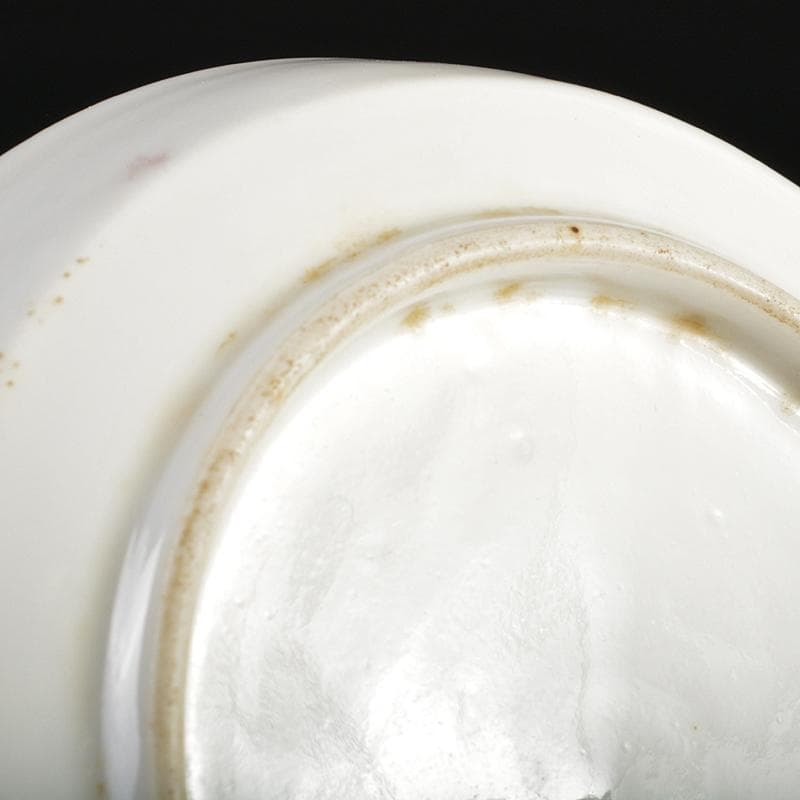 伊万里焼　古伊万里　赤絵金彩　鳥蒲公英文　小皿　十客　時代箱付　C　R6176