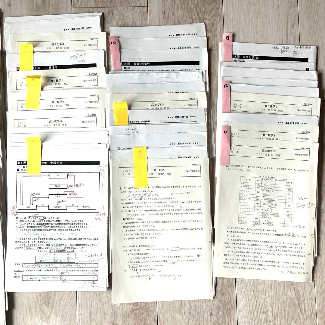 【匿名配送】駿台　高3化学S 2019年　理系大学受験　テキストプリントノート付