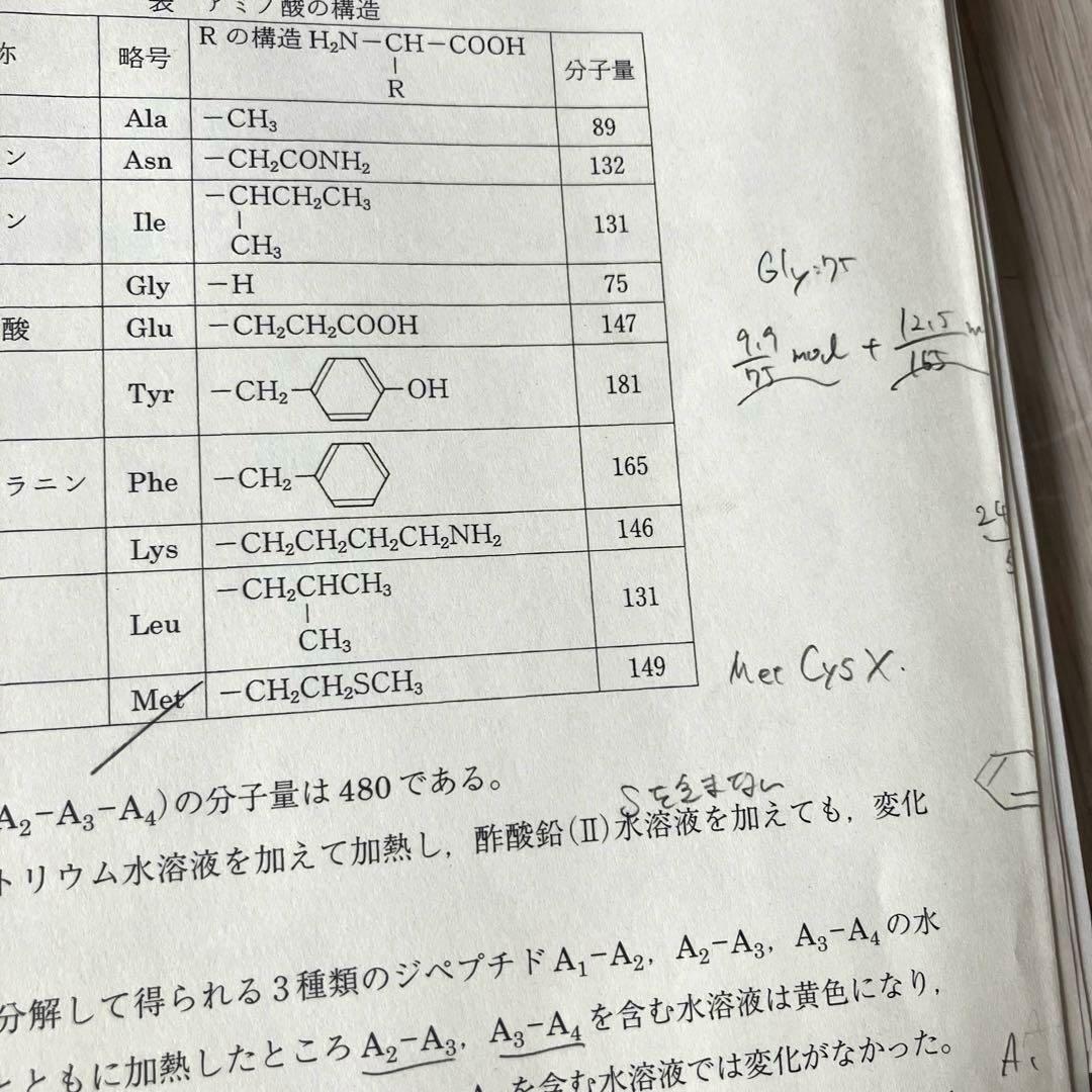 【匿名配送】駿台　高3化学S 2019年　理系大学受験　テキストプリントノート付