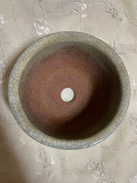 彩花　盆栽鉢　丸