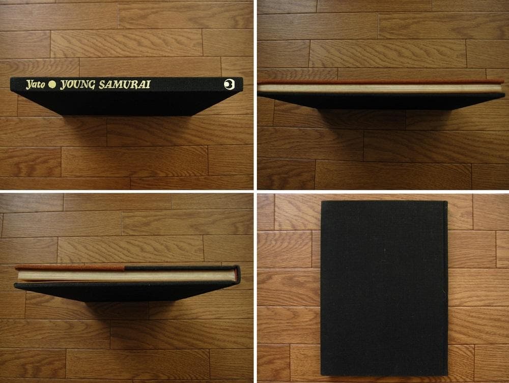 体道 Young Samurai: Bodybuilders of Japan