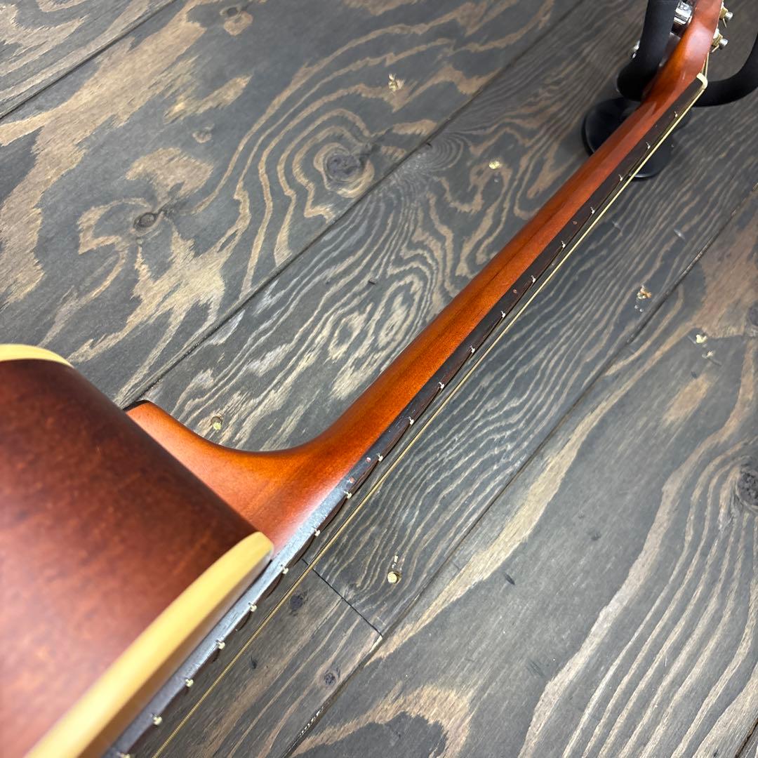 カナダ製シーガルアコースティックギター スプルーストップ