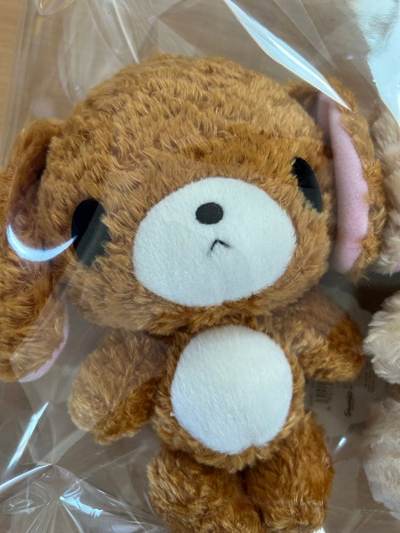 ⭐︎シュガーバニーズ　ラテうさ&カプチーノうさ