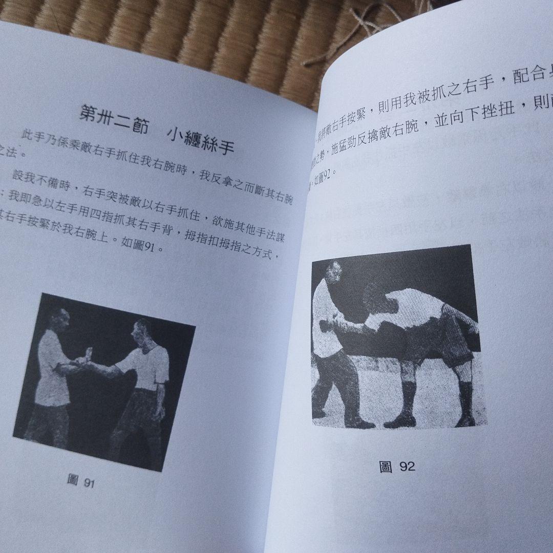 七十二把擒拿原理　七十二把擒拿技法 李英昴