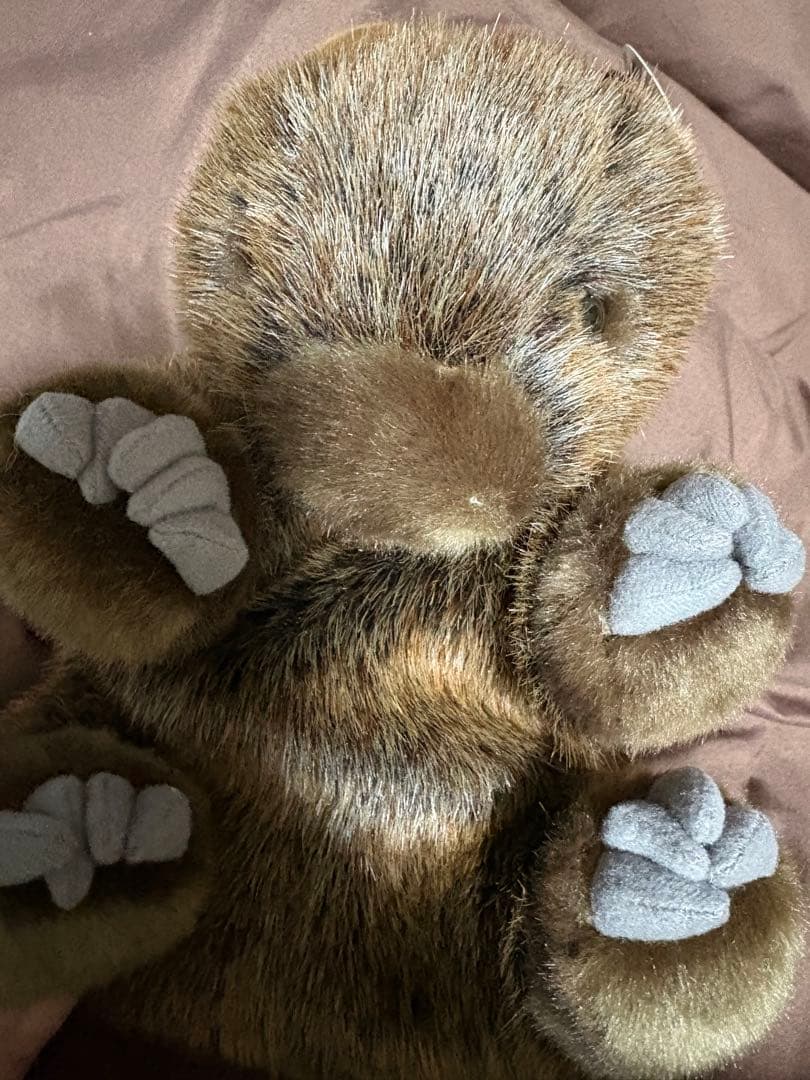 茶臼山動物園　ウォンバット　ぬいぐるみ ウォレス モモコ パペット
