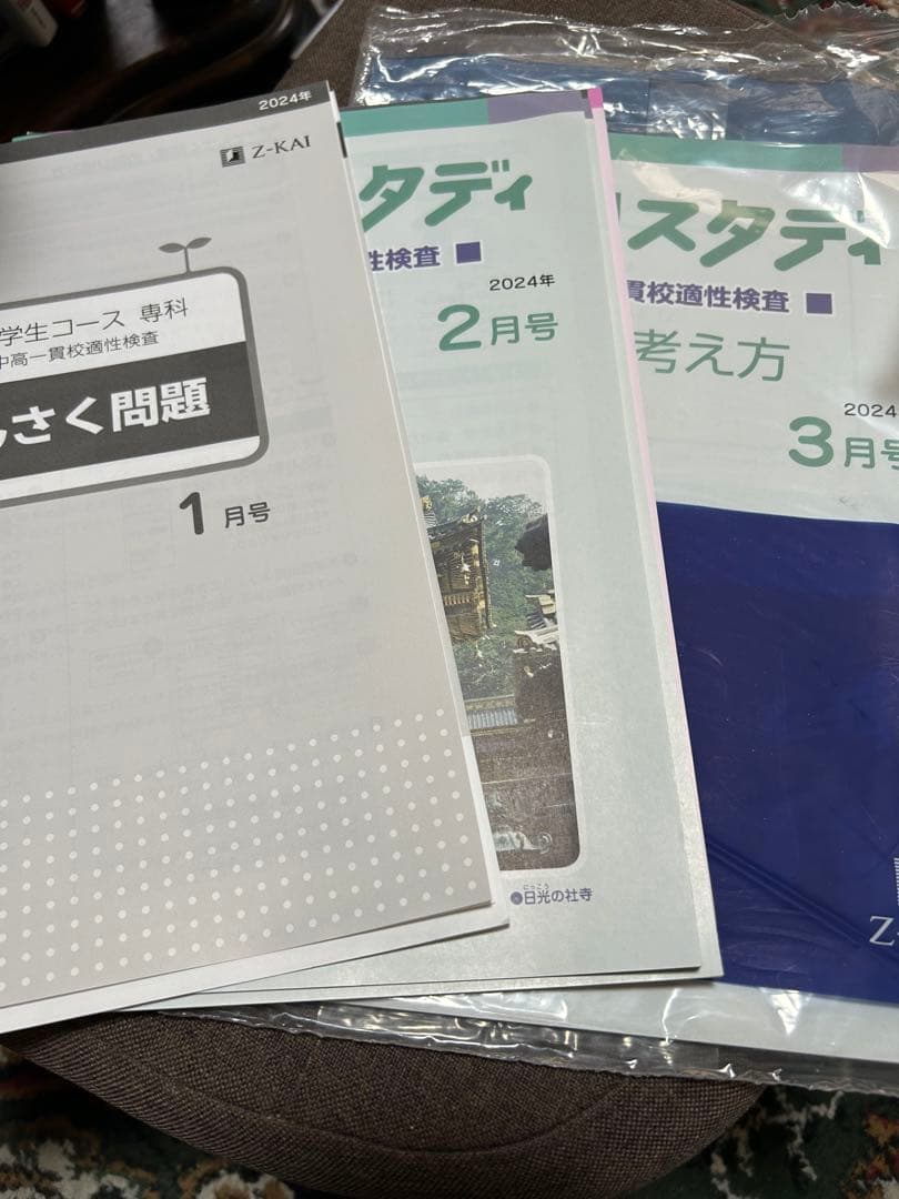 エブリスタディ　中高一貫校　小６　2024年