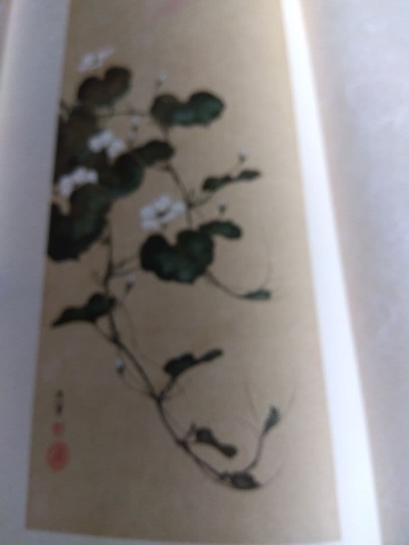 光琳流画集　3冊