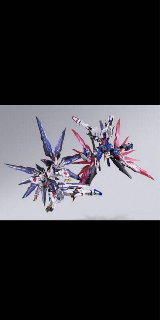 メタルビルドFESTIVAL2024ストライクフリーダム&デスティニーガンダム