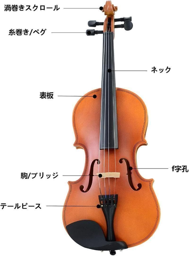 M2231-119-86】バイオリン 3/4 初心者セット ヴァイオリン 弓2本