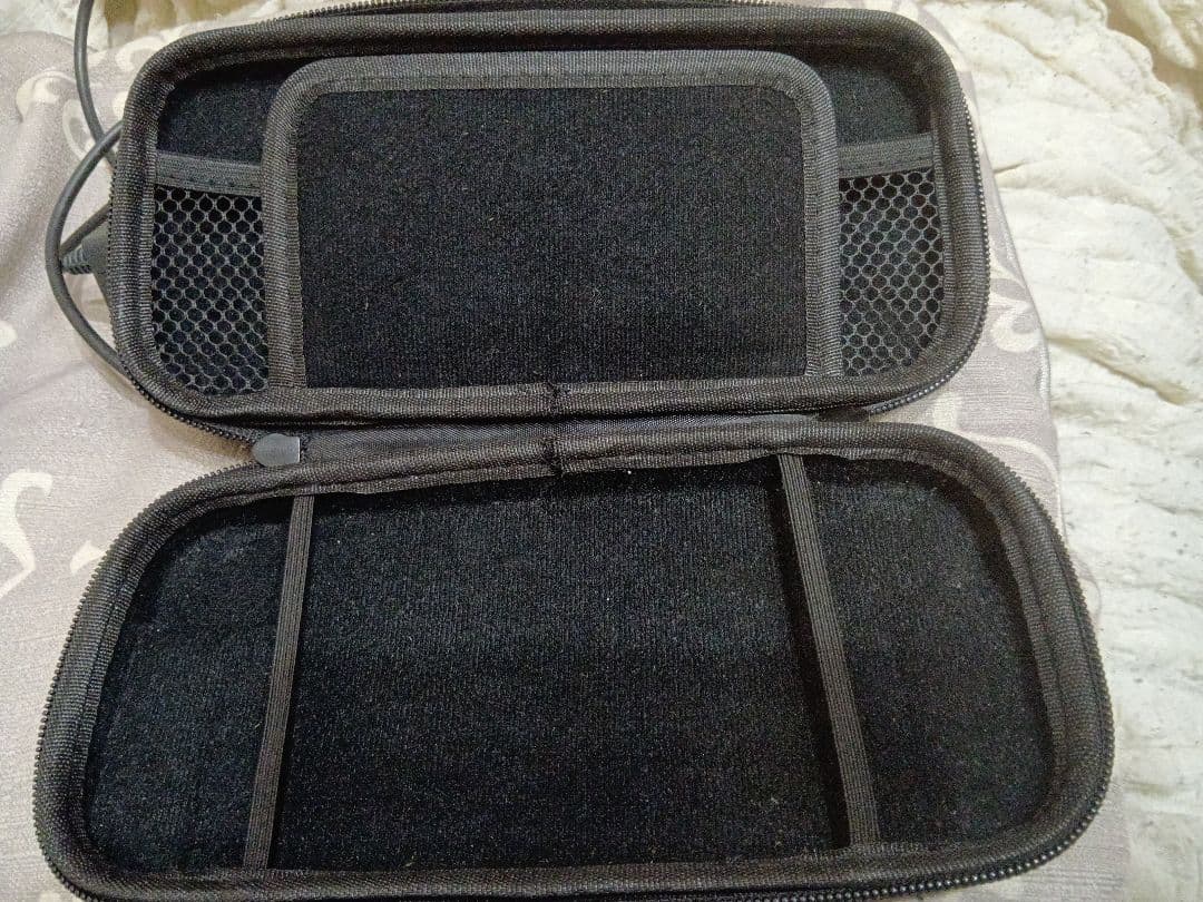 Nintendo Switch Lite 充電器 ケース付き　ジャンク品