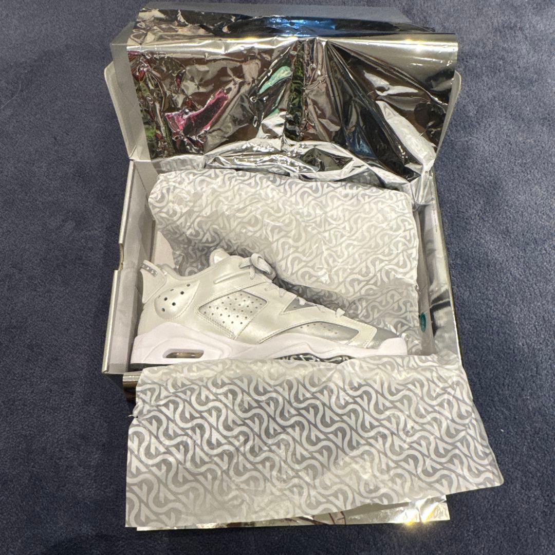 JORDAN RETRO6 GOLF 27cm ジョーダン6