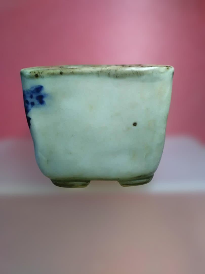 ナマズの絵柄の盆栽鉢