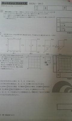 サピックス ＳＳ特訓＊６年＊算数／桜蔭 対策プリント＊全４９回完全版～激レア貴重