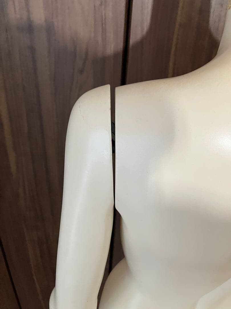 トルソー 女性用マネキン 袖付き スタンド付き レディース マネキン