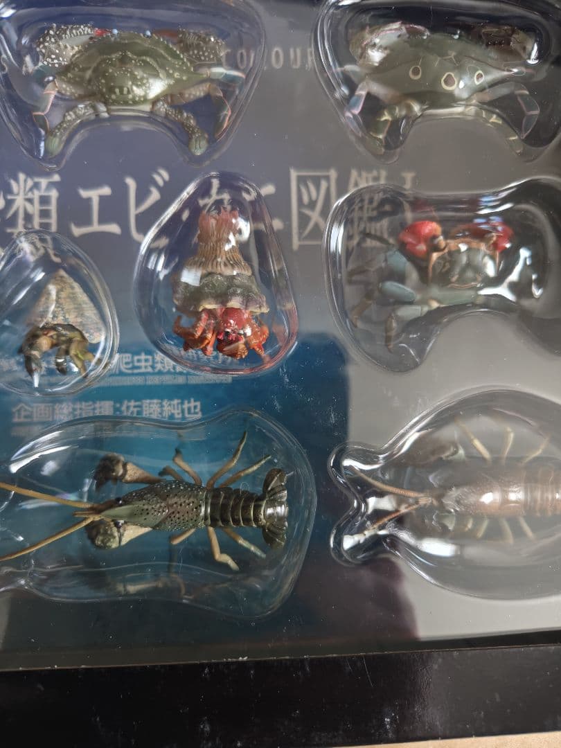 原色甲殻類エビ・カニ図鑑I　コンプリート専用ケース、ミニブック付き