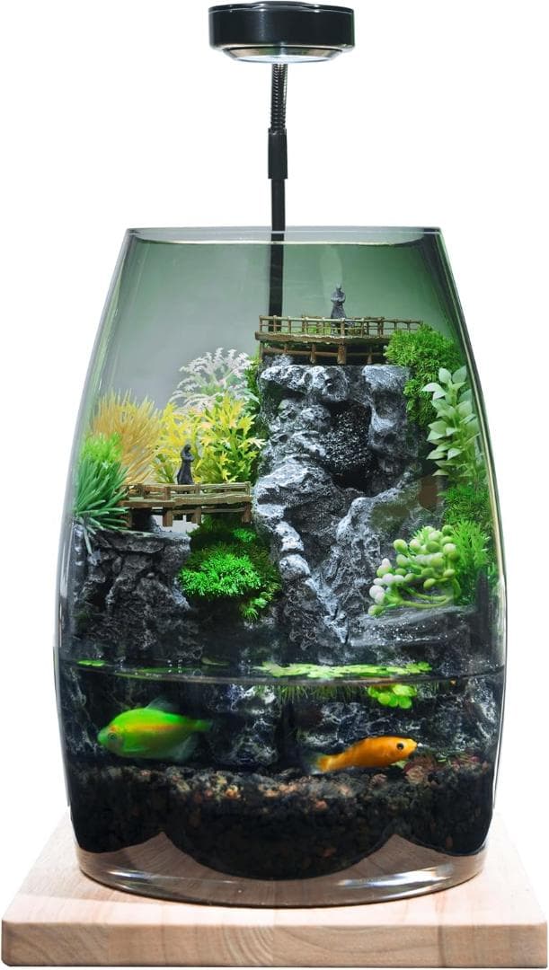 水を入れるだけですぐに始められる ミニチュアランドスケープアクアリウムBセット