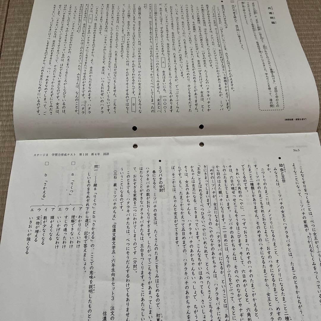 2025年 日能研 4年 ステージⅡ 育成テスト【前期】4科目他❗️