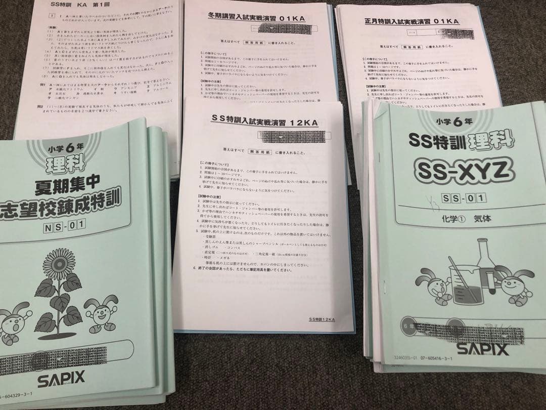 開成対策　サピックス　6年 2025年受験　日特/冬期/正月他　中古