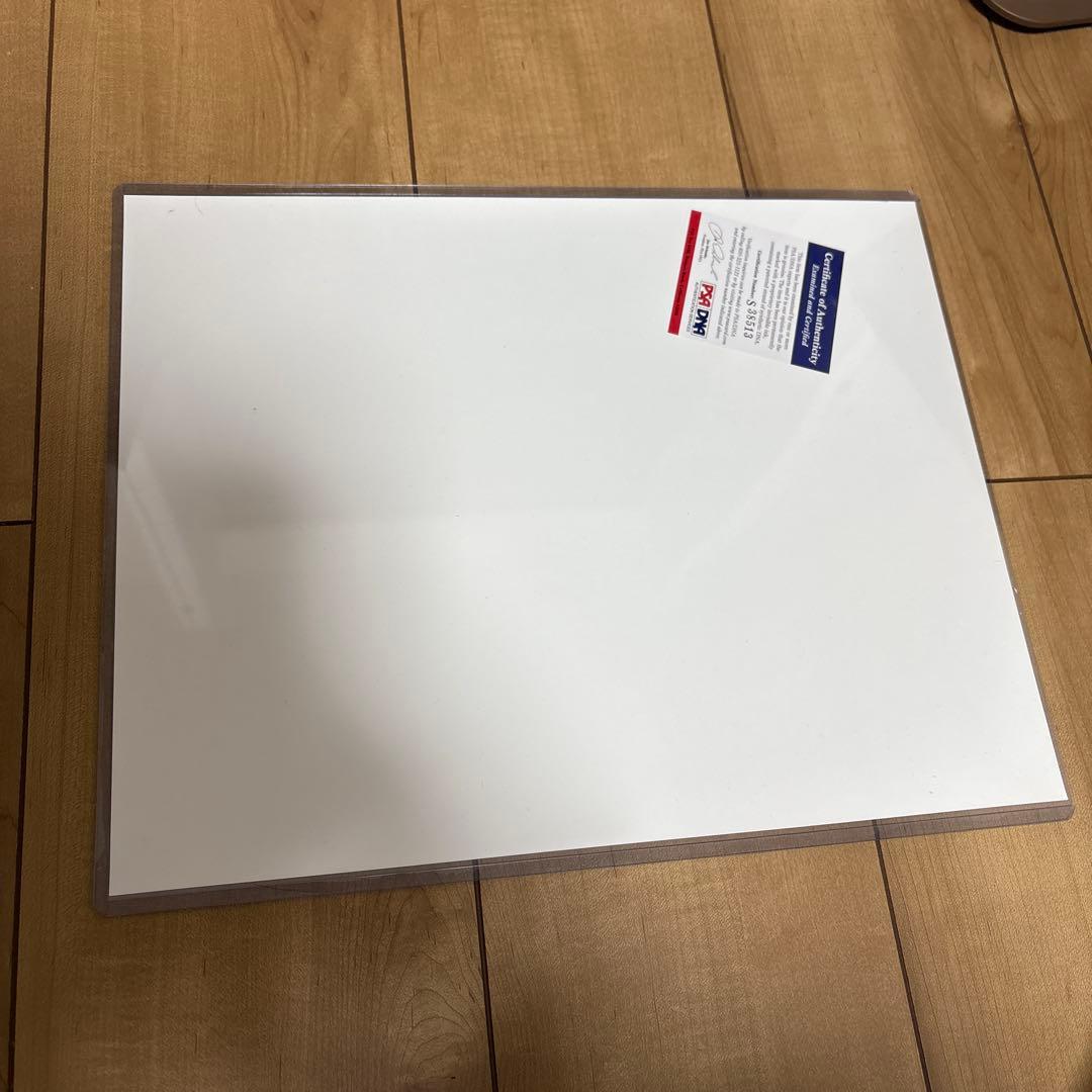 CARMEN ELECTRA autograph fhoto 11×14