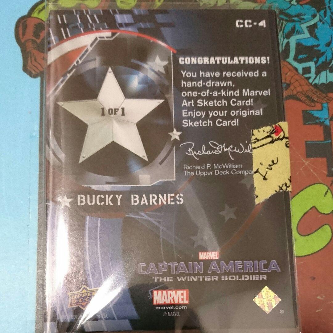 スケッチカード  バッキー