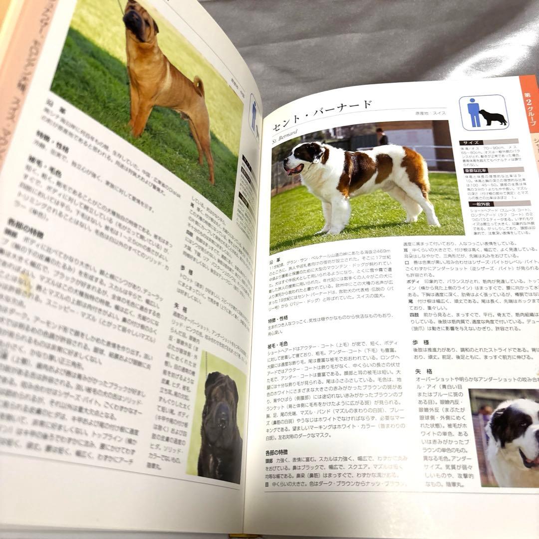 日本ケンネルカレッジペット資格最新犬種図鑑他トリマー資格本日本犬種クラブ