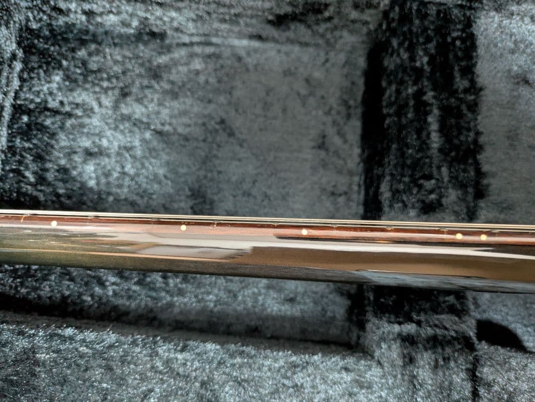 FERNANDES APG 100 24F仕様