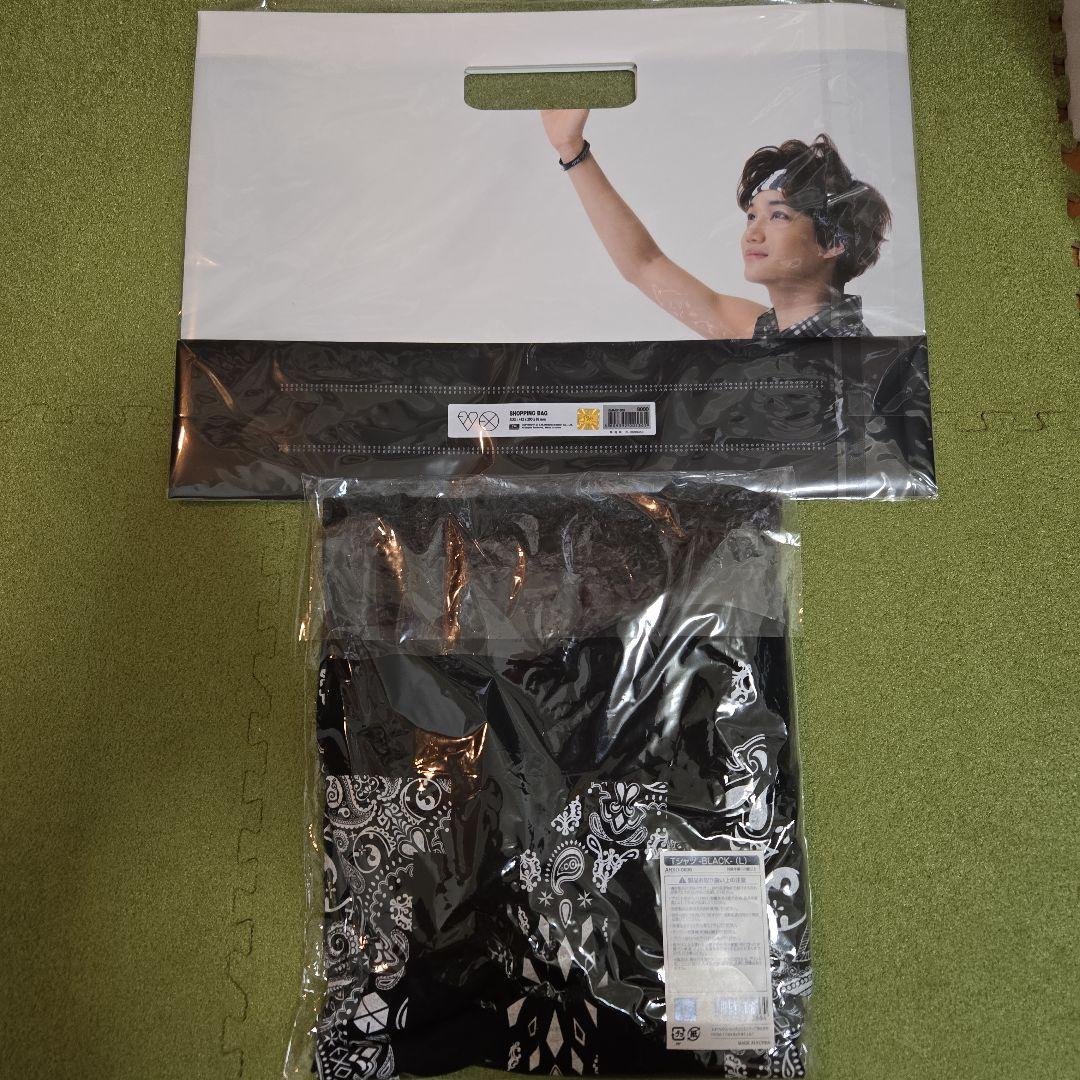 EXO トレカ カイ レイ セフン チャニョル バッジ ファイル Tシャツ58点