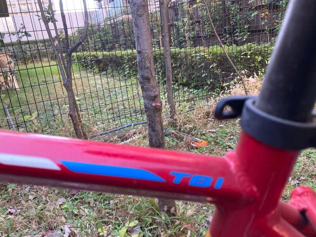 ブリヂストン クロスバイク TB1：ピュアレッド/480mm（2020年モデル）