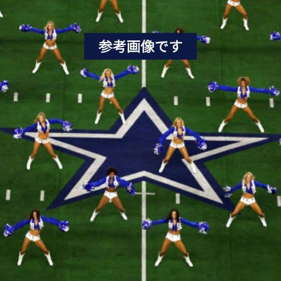 ■50周年■2010年■記念■限定■ダラス■カウボーイズ■QB■トニー・ロモ■9