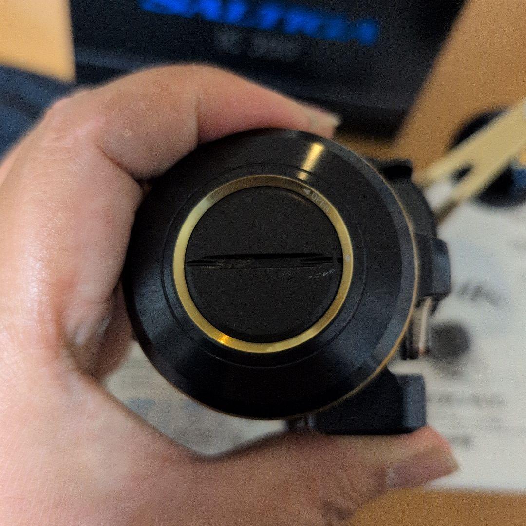 Daiwa SALTIGA　ダイワ　ソルティガ IC 300 ベイトリール