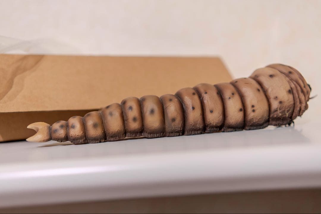 エクスプラス モスラ 1961 軟質版 限定100体 少年リック限定 ゴジラ