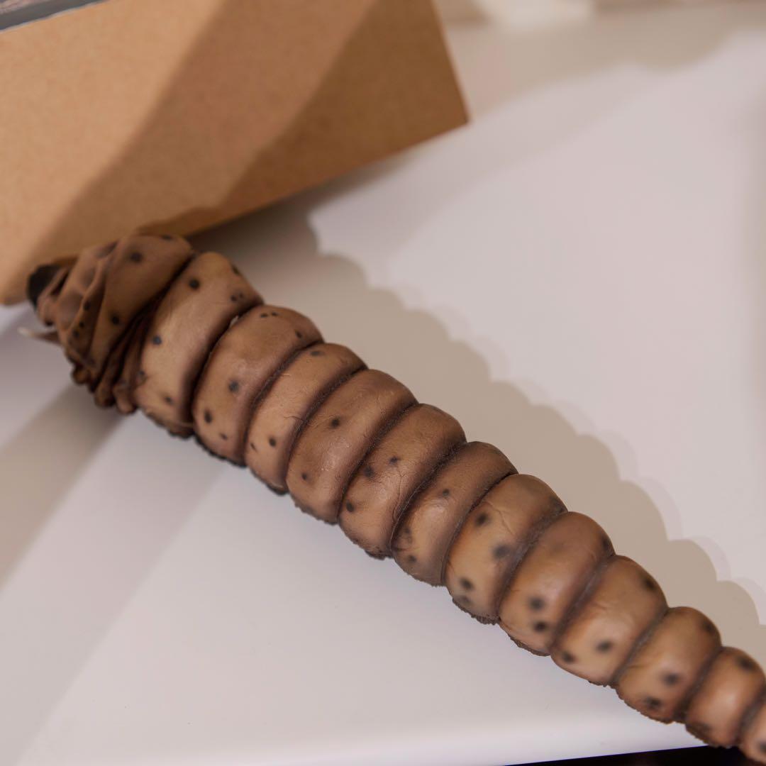 エクスプラス モスラ 1961 軟質版 限定100体 少年リック限定 ゴジラ