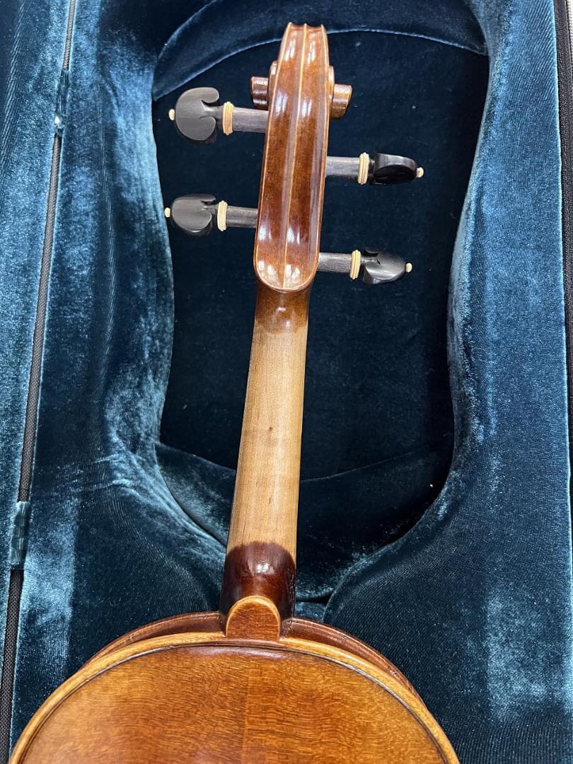 弦楽器 Alexandru Ozon Bucuresti Romania 2017