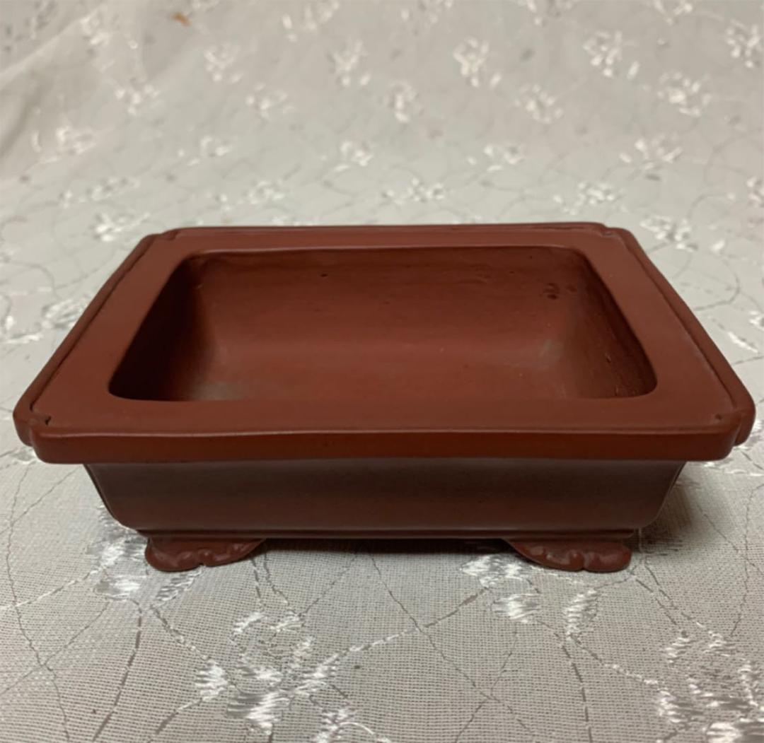 山秋　盆栽鉢　長方