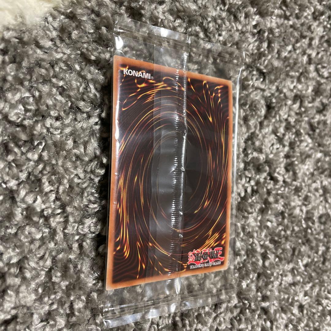 遊戯王OCG デュエルモンスターズ Skyfaring Castle of the Black Forest