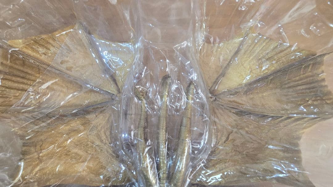 キングギドラ ハイヤトイズ