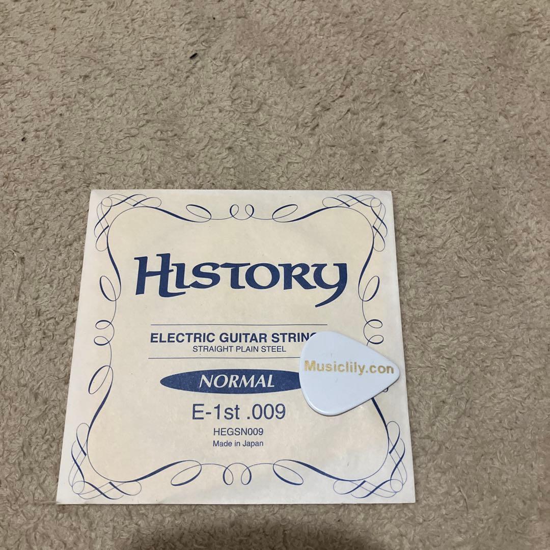 PGG トラベルギター　ピグノーズ