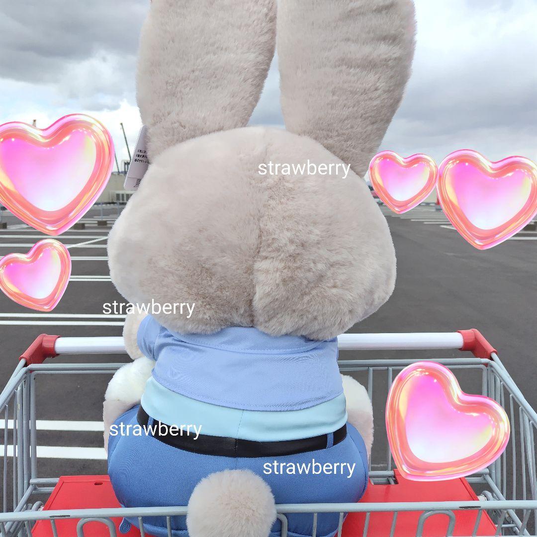 ズートピア゙２　ジュディ　大きな　ぬいぐるみ　ブランケット付き♥コストコ新作