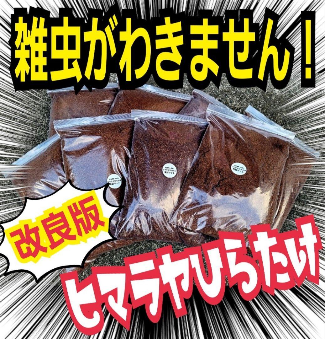 カブトムシ幼虫の餌　大きくなる！発酵マット【6袋】雑虫が湧きません！すぐ使える