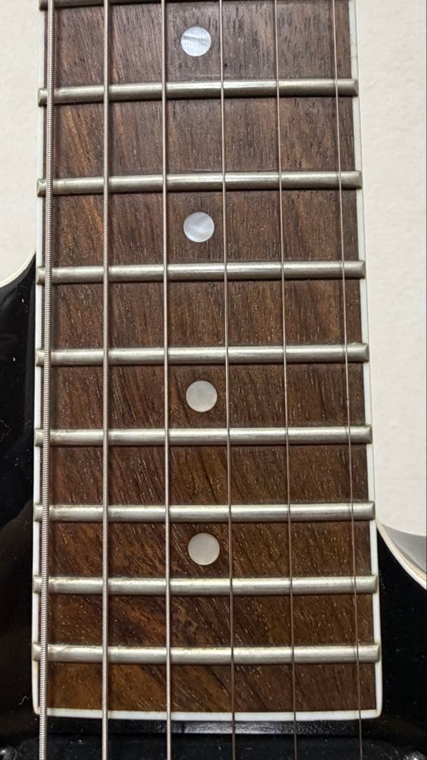 FERNANDES TEJ-STD 2S'19 BLK ケース付き