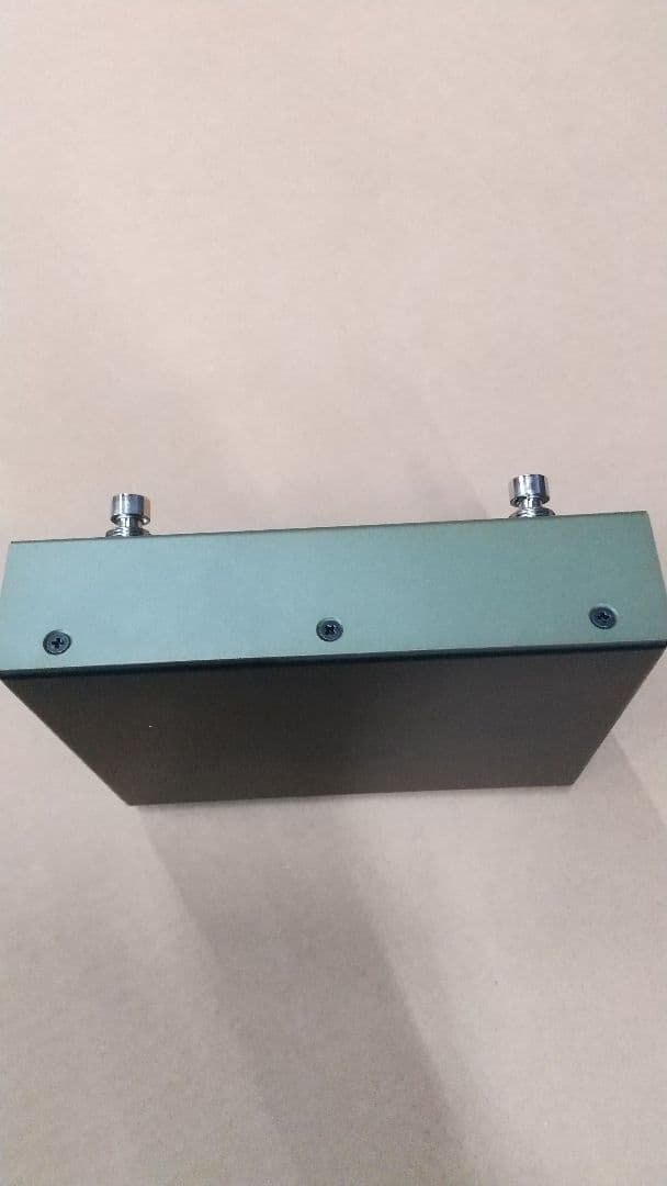 ギター Free The Tone FT-2Y