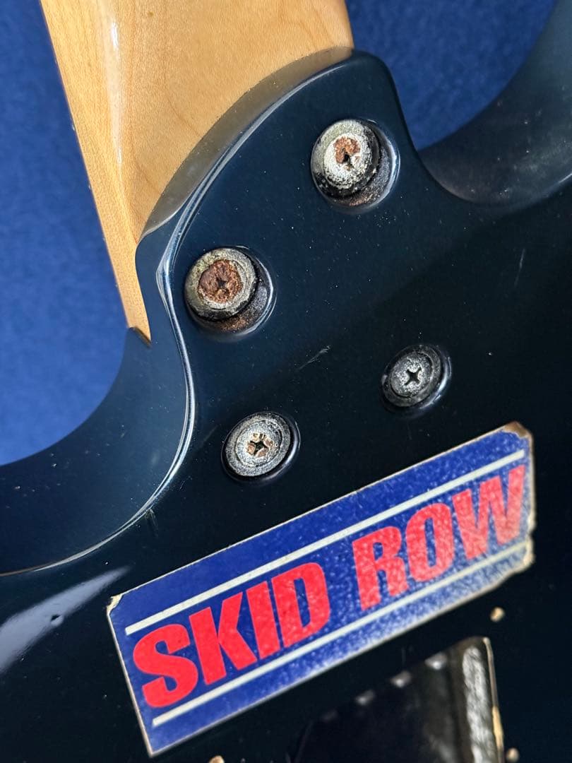 FERNANDES フェルナンデス エレキギター SUSTAINER