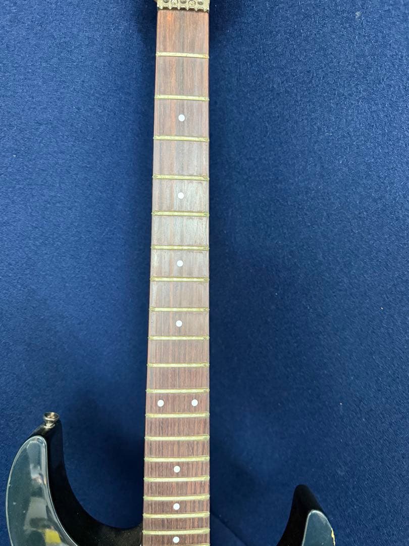 FERNANDES フェルナンデス エレキギター SUSTAINER