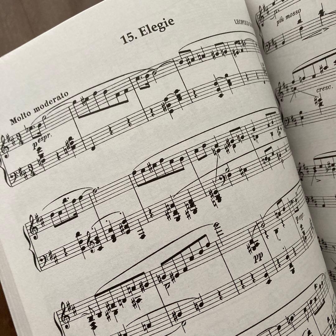 L.GODOWSKY/ ピアノ作品集 Vol. 1