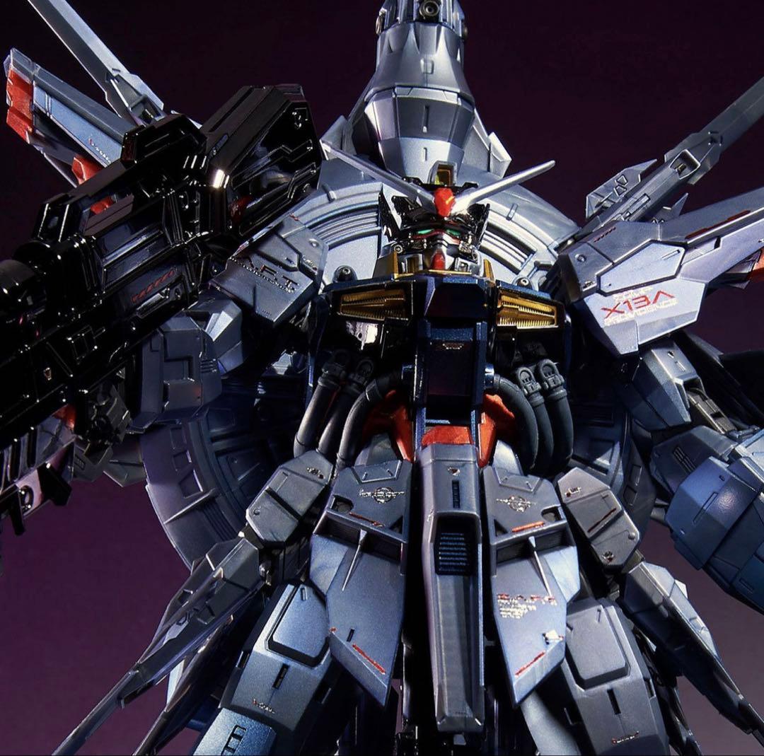 【新品未使用】ＭＧ1/100 プロヴィデンスガンダム [スペシャルコーティング]