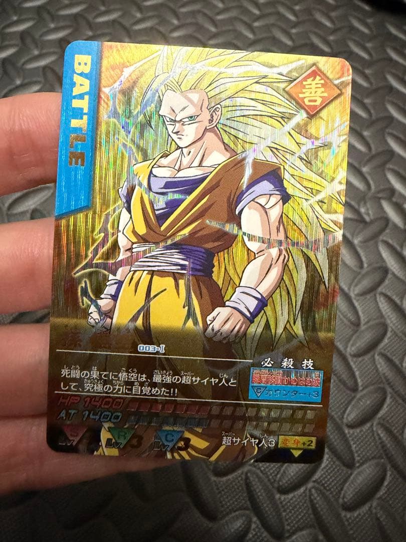 専用　プラスゴジータ