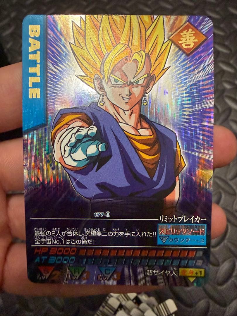 専用　プラスゴジータ