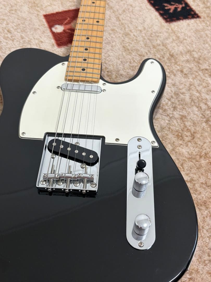 Bacchus Universe Series テレキャスブラック