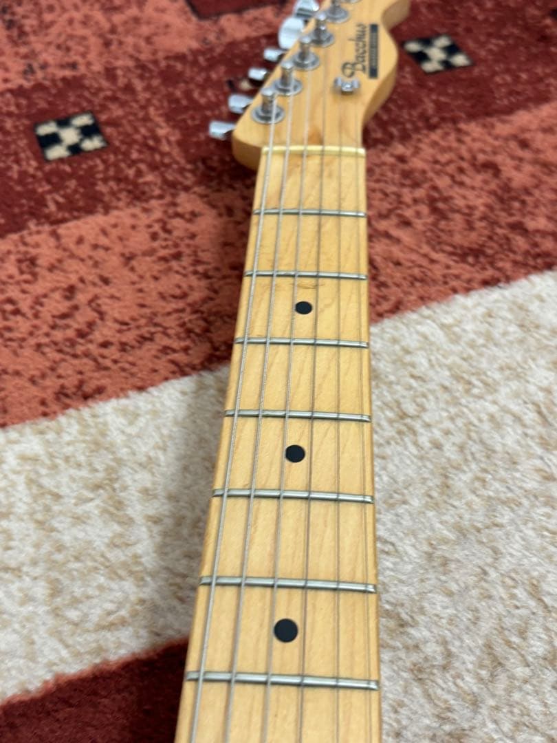 Bacchus Universe Series テレキャスブラック